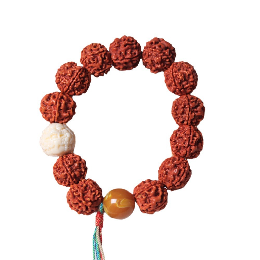 Nepal Five Petal Full Meat Dra - Women Accessories Nepal incelemesi ve fiyatı